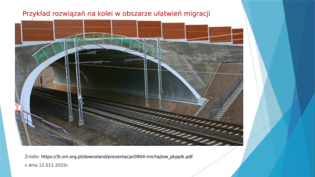 Przykład rozwiązań na kolei w obszarze ułatwień migracji zwierząt