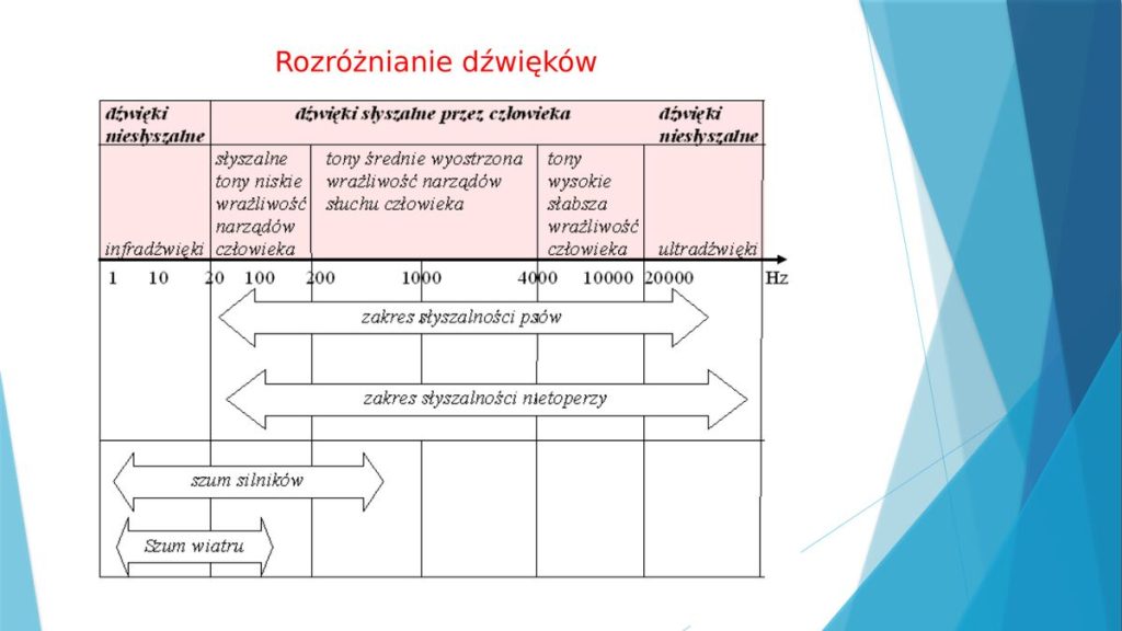 Rozróżnianie dźwięków – zakresy częstotliwości